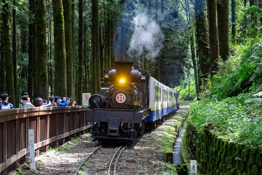 百年鳴笛再響：乘著蒸汽火車進入阿里山秘境 活動海報