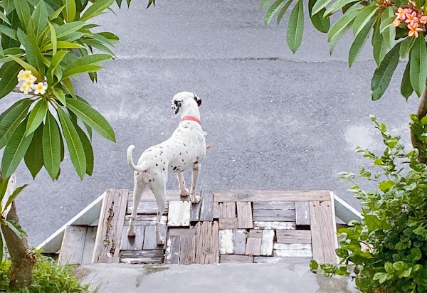 SummerPoint墾丁佳樂水衝浪民宿