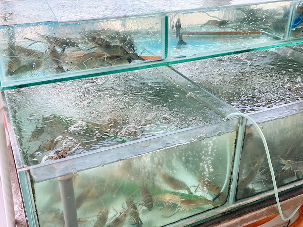環中活海產-現烤活蝦「現撈活海產餐廳」帝王蟹料理「西屯 北屯活海鮮餐廳」「龍蝦、螃蟹」「海鮮熱炒店」「活蝦料理