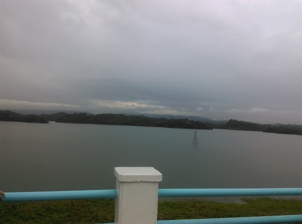 松林雅竹