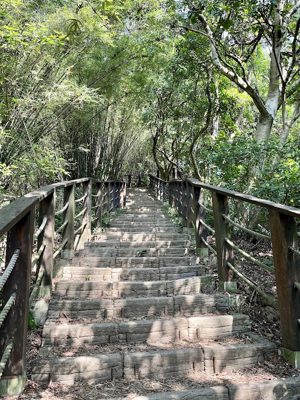 七分山|羊稠步道休息區|羊稠森林步道