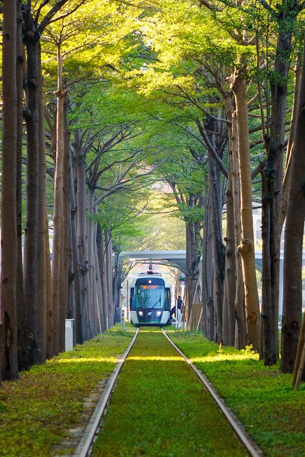 高雄輕軌綠色隧道