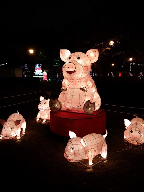 文化公園（竹筍公園）