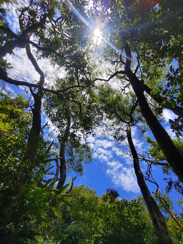 鳶山風景區