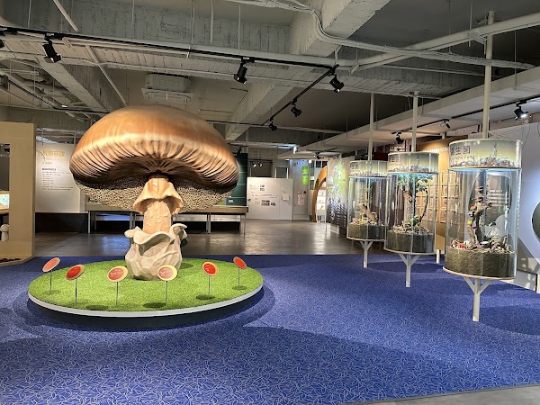 霧峰菇類產學館