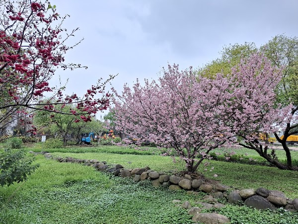福山宮 生態公園
