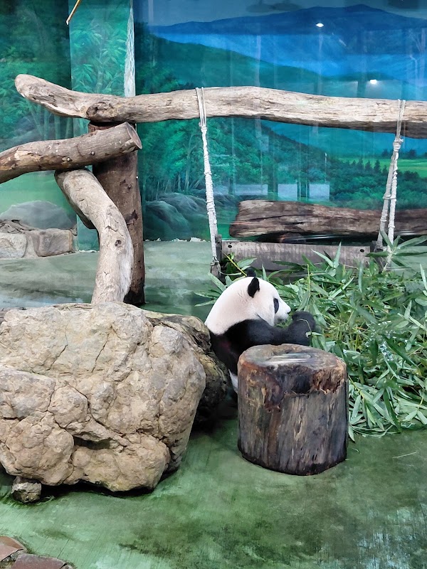 McCafé 咖啡-台北動物園三店