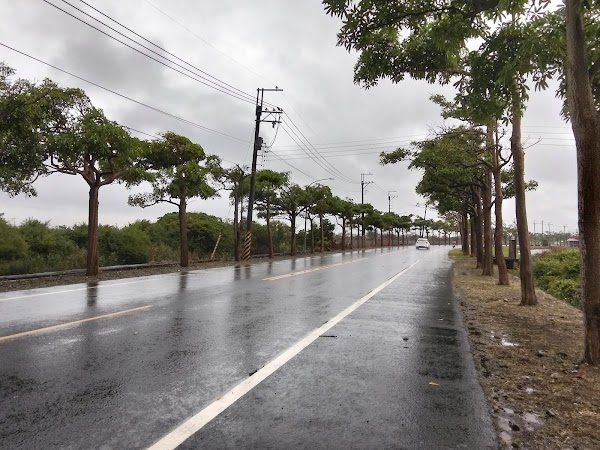 東盟聯外道路 (黑板樹大道)