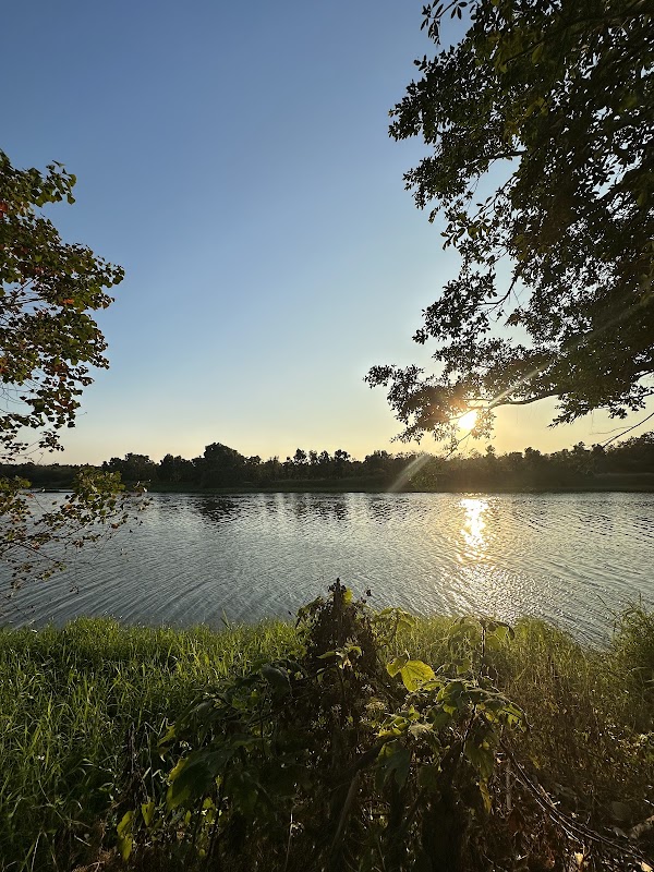 柳營陳府仙姑