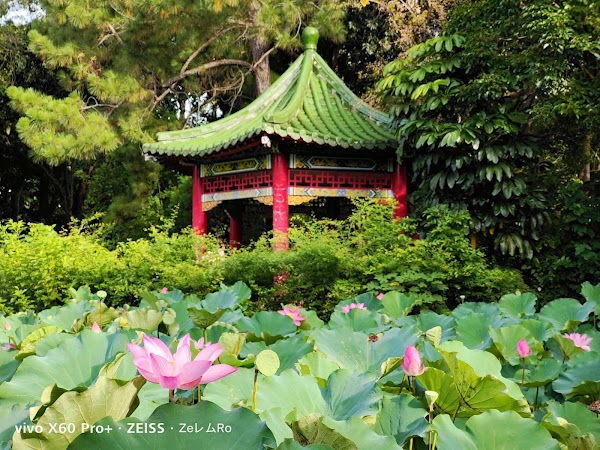 臺北植物園