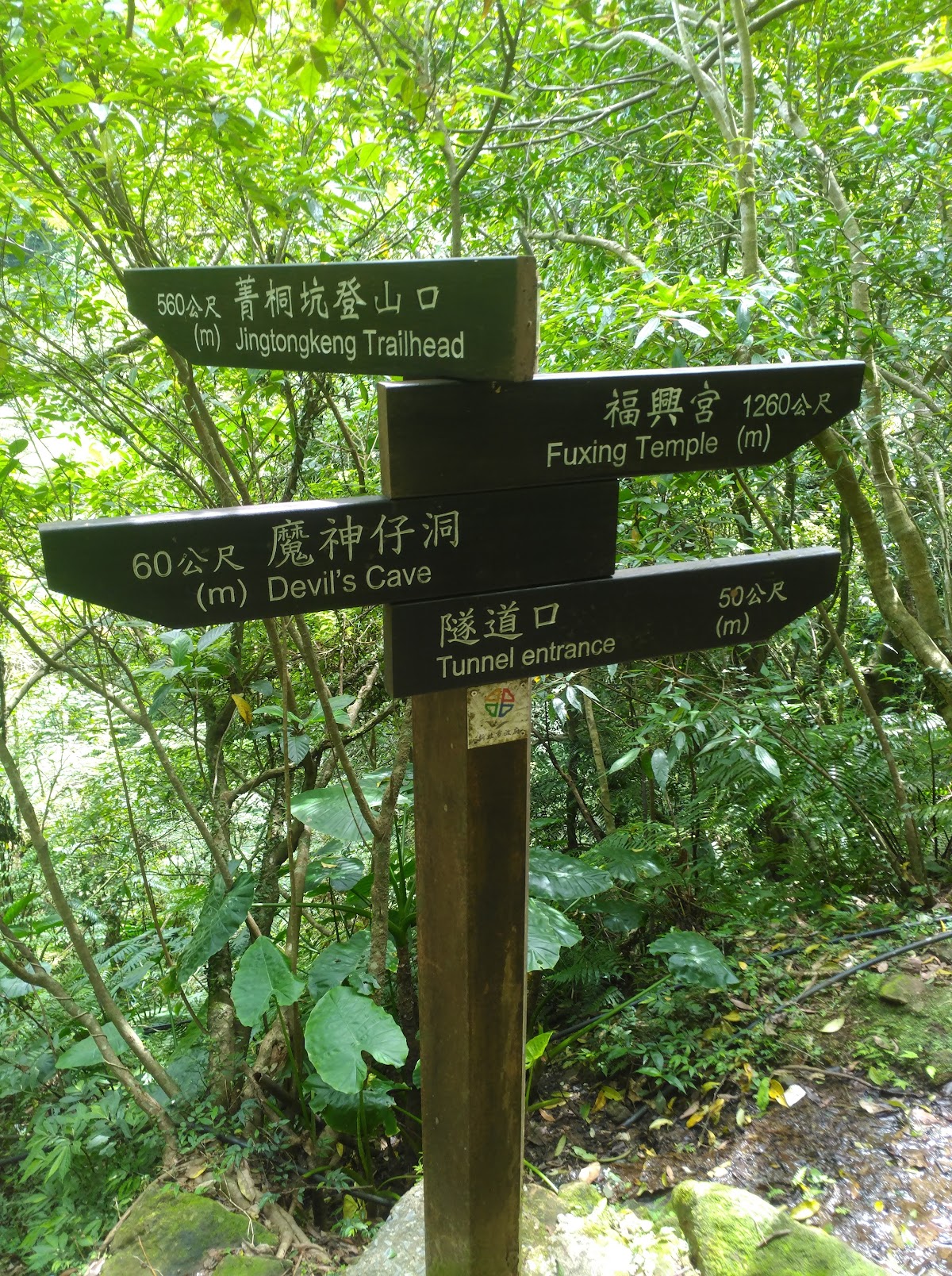 菁桐古道