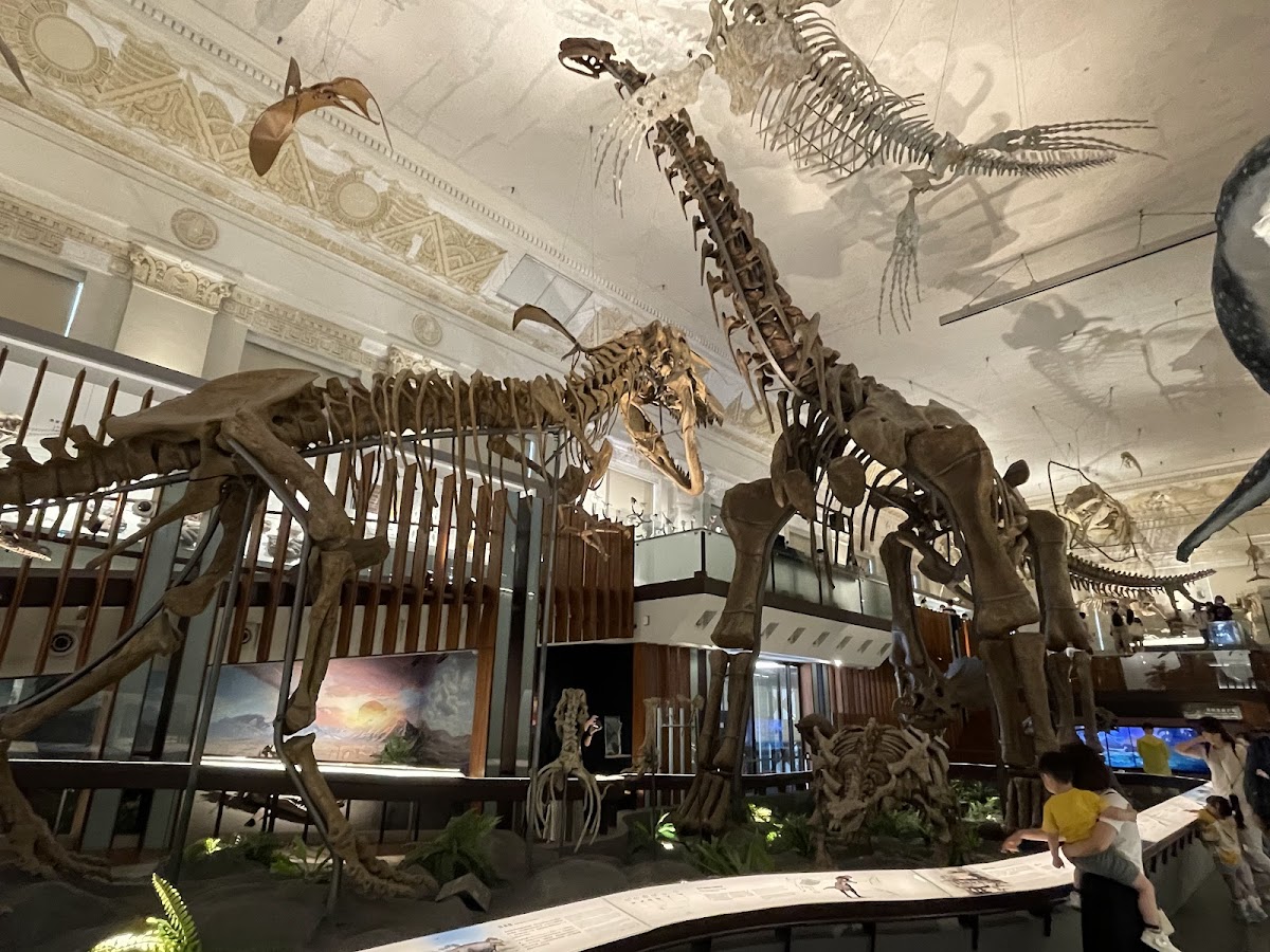 臺博館古生物館