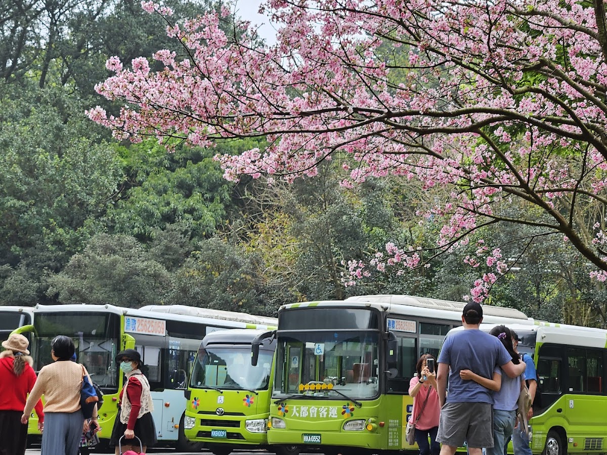 陽明山公車總站