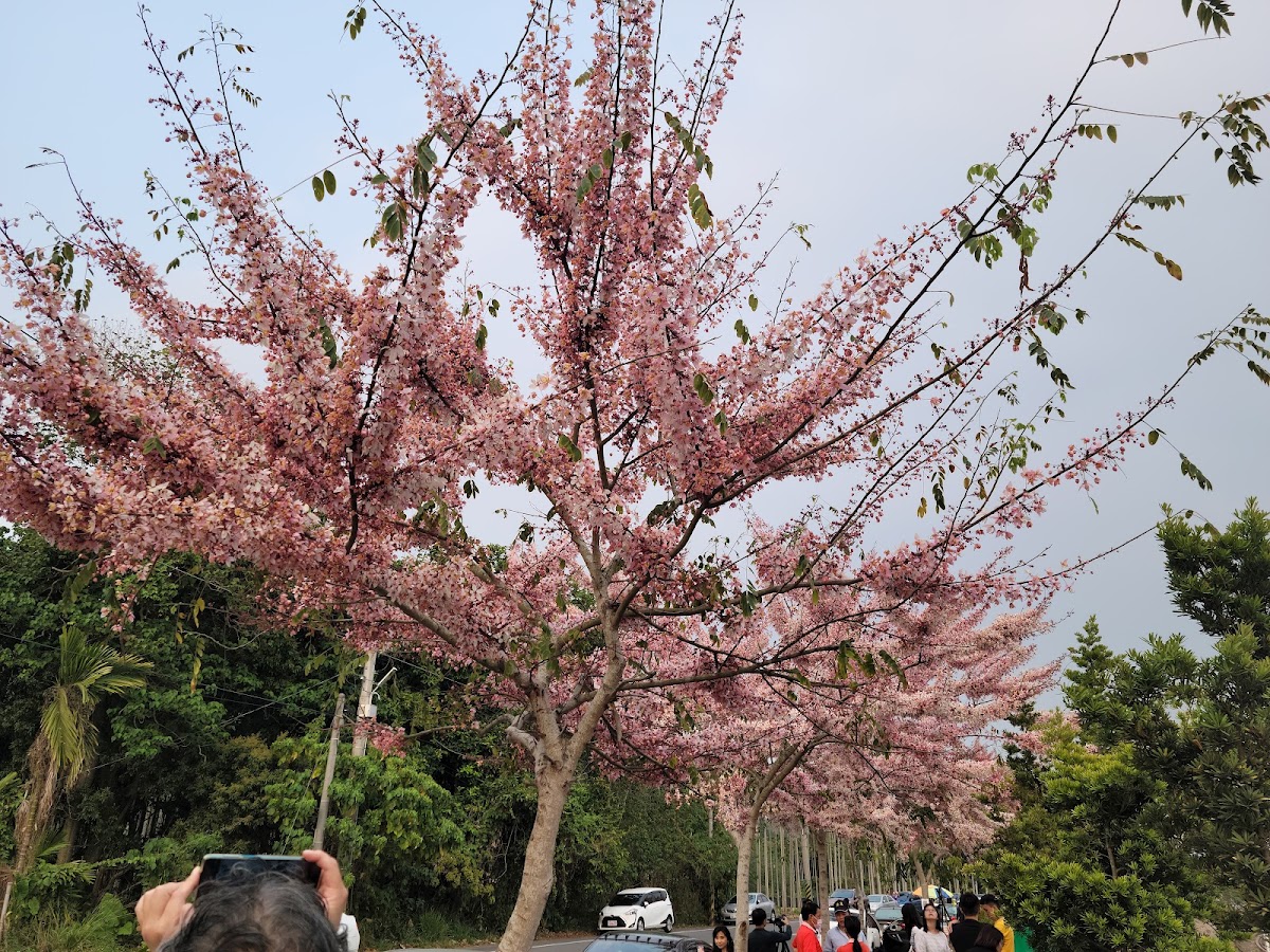 二水八堡圳