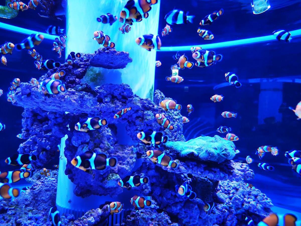 國立海洋科技博物館 潮境智能館